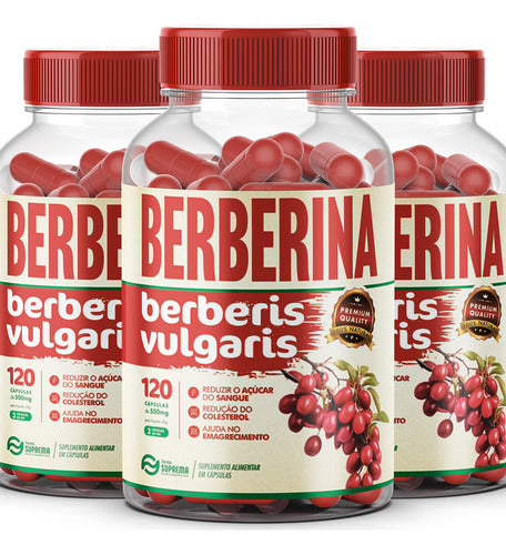 Kit 3x Berberina 500mg 360 Capsulas Premium - Status Verde Sabor Sem Sabor