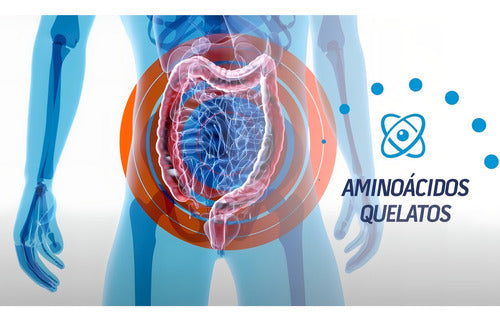 Cognon 60 Capsulas Vitaminas E Minerais = Cogmax Sabor Sem sabor