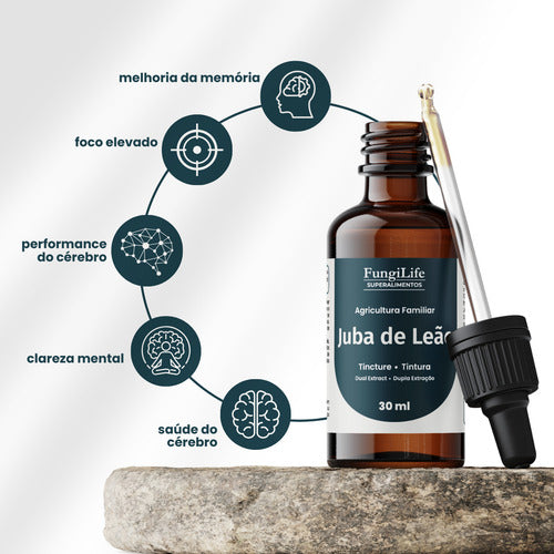 Kit 2 Extratos Juba De Leão 30ml | Foco E Concentração