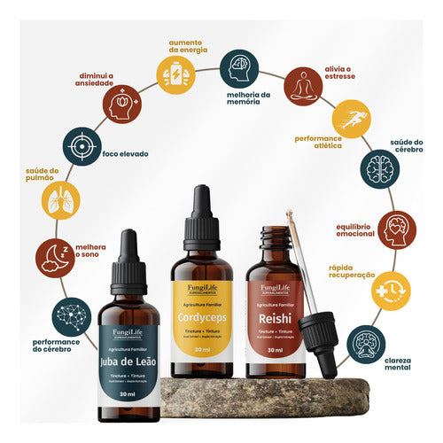 Kit Foco Energia e Equilíbrio | Juba de Leão + Cordyceps + Reishi 30ml