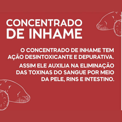 Elixir De Inhame Concentrado 250 Ml Sabor Sem sabor