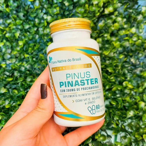 Pinus Pinaster Flora Nativa 60 Cápsulas Sabor Sem sabor