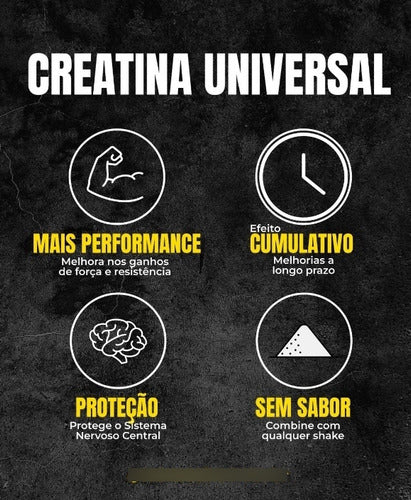 Suplemento Em Pó Creatina Universal Nutrition Aminoácidos Creatina Monohydrate Pote De 200ml + Coqueteleira Universal