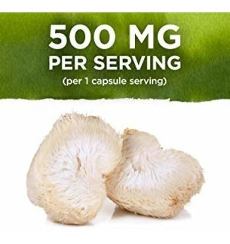 Cogumelo Juba De Leão Lion's Mane 500mg 60 Capsules Swanson