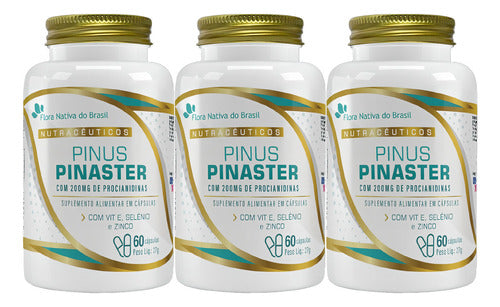 Pinus Pinaster Flora Nativa 60 Cápsulas Sabor Sem sabor