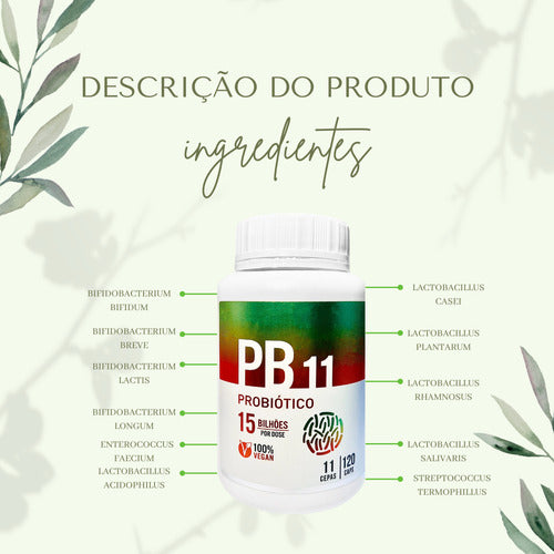Pb11 Probiótico 120 Cápsulas Flora Intestinal