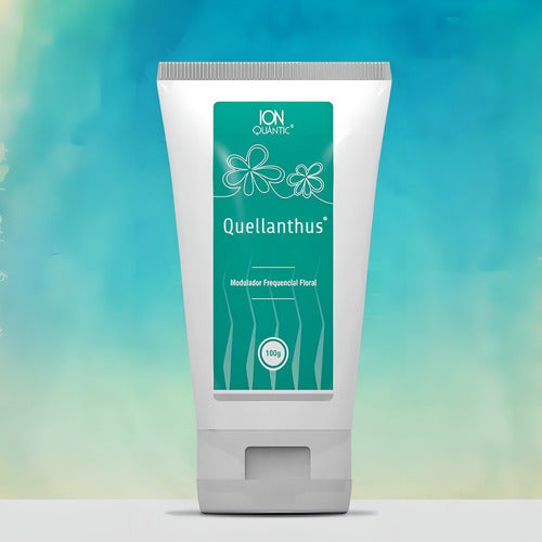 Fisioquantic Gel Quellanthus 100ml Sabor sem sabor uso tópico