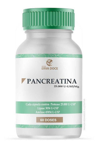 Pancreatina 25.000 U-usp 60 Doses Gastroresistentes