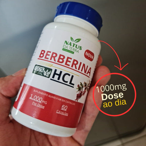 Suplemento Em Cápsula Berberina Hcl Berberis Vulgaris  Berberina Sabor  Without Flavor Em Pote De 30g 60 Un