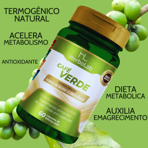 3 Café Verde 60 Cápsulas Cada Com 600mg Conilon Robusta Sabor Natural