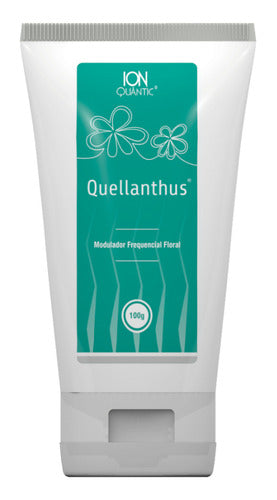Fisioquantic Gel Quellanthus 100ml Sabor sem sabor uso tópico