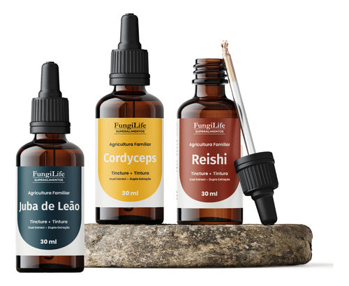 Kit Foco Energia e Equilíbrio | Juba de Leão + Cordyceps + Reishi 30ml