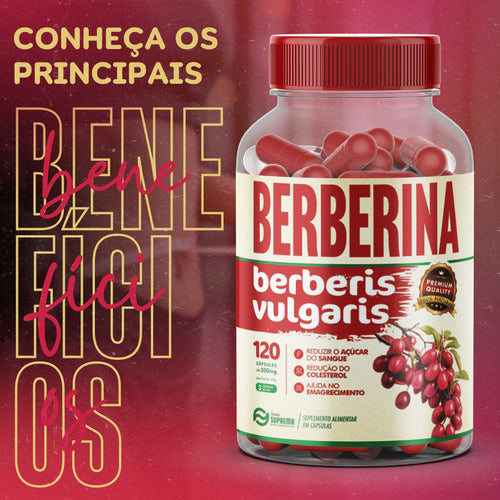 Kit 3x Berberina 500mg 360 Capsulas Premium - Status Verde Sabor Sem Sabor