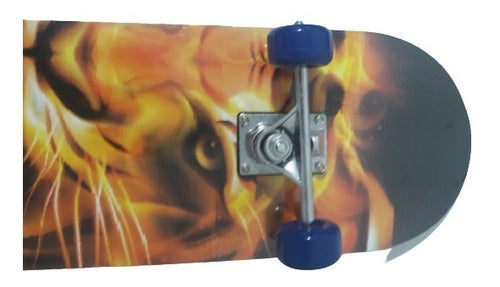 Skate Iniciante Montado Shape De Madeira78cm Sem Lixa Oferta