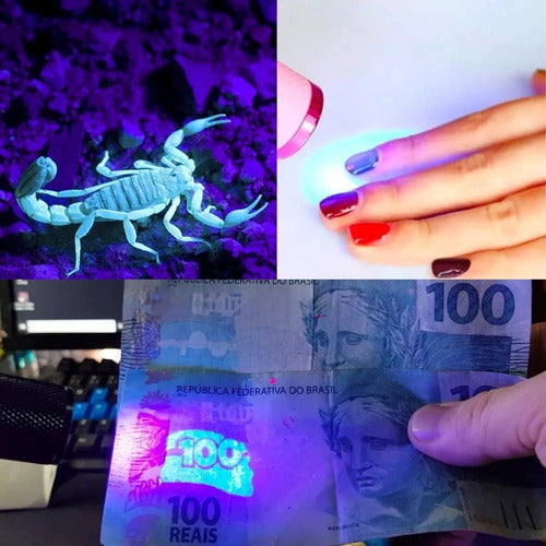 Lanterna De Led Potente Luz Negra Ultravioleta Uv Escorpião Cor da lanterna Preto