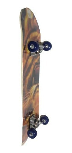Skate Iniciante Montado Shape De Madeira78cm Sem Lixa Oferta