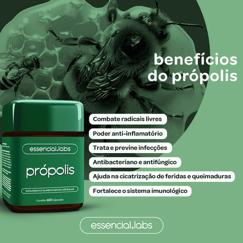 03 POTES do PRÓPOLIS VERDE com 1000mg na dose - Extrato com Máxima Concentração e Pureza - 180 Cápsulas