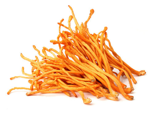 Extrato Cordyceps - Cordyceps Militaris 30ml