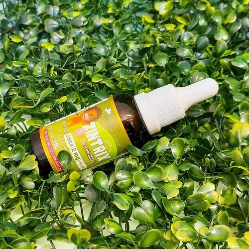 Zintrix (zinco Infantil Em Gotas) 20ml - Flora Nativa Sabor Morango