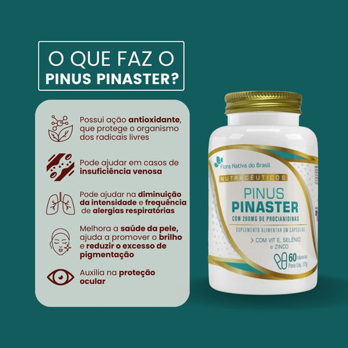 Pinus Pinaster Flora Nativa 60 Cápsulas Sabor Sem sabor