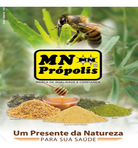 Extrato De Propolis Em Cápsulas Mn Própolis Com 60 Cápsulas 500Mg Ouro Brasil 100% Nacional Suplemento Saudável Natural Eficiente para Melhorar Imunidade